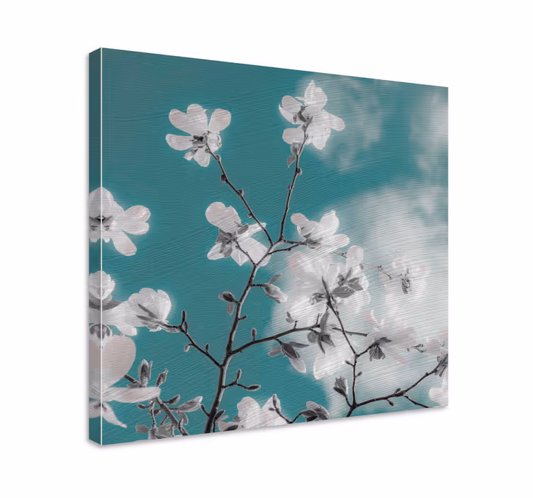 Cuadro de flores Un hermoso cielo azul soleado - TenVinilo