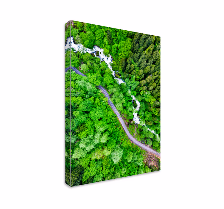 Cuadro paisajes río del bosque serpenteante - TenVinilo