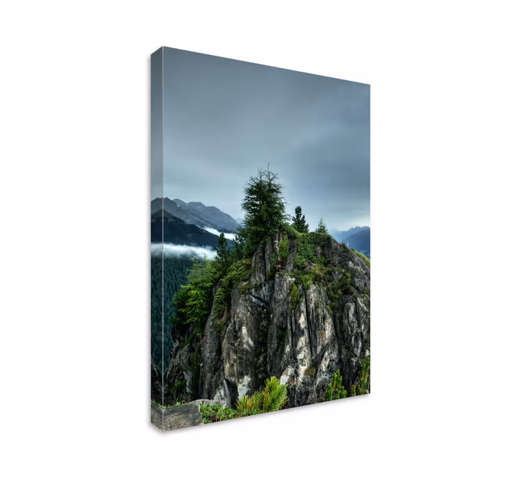 Cuadro paisajes Roca única en bosque verde - TenVinilo