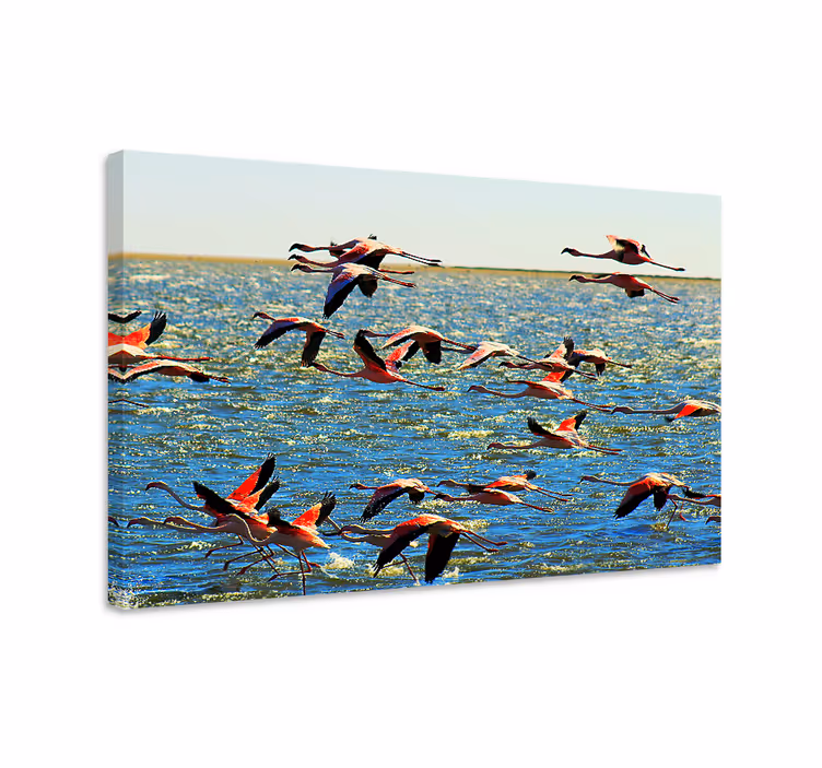 Cuadro animales Flamencos volando - TenVinilo