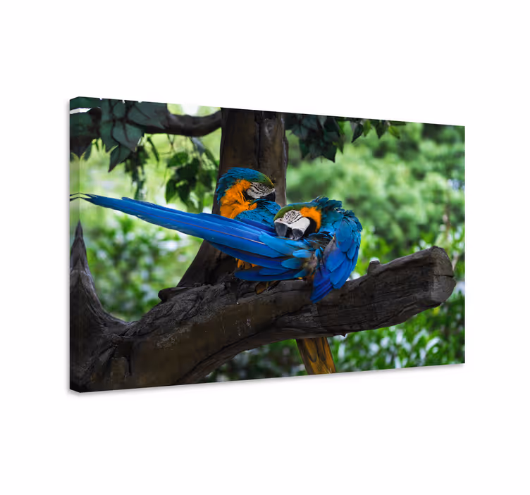 Cuadro animales Loros de colores en la selva. - TenVinilo