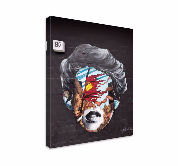 Cuadro artístico elementos faciales abstractos - TenVinilo