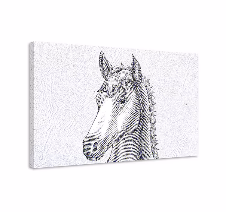 Cuadro caballos dibujo elegante de caballos - TenVinilo