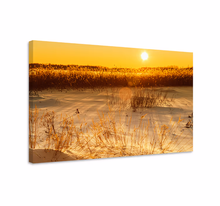 Cuadro plantas Momento de la puesta de sol de pampasgrass - TenVinilo