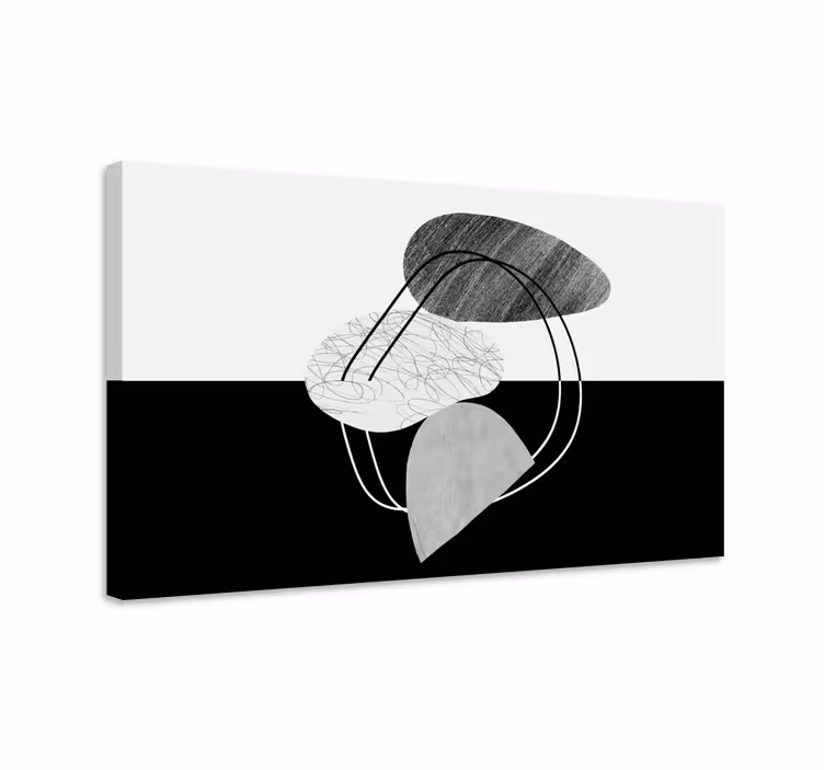 Cuadro en arte Abstracción de piedra en blanco y negro - TenVinilo