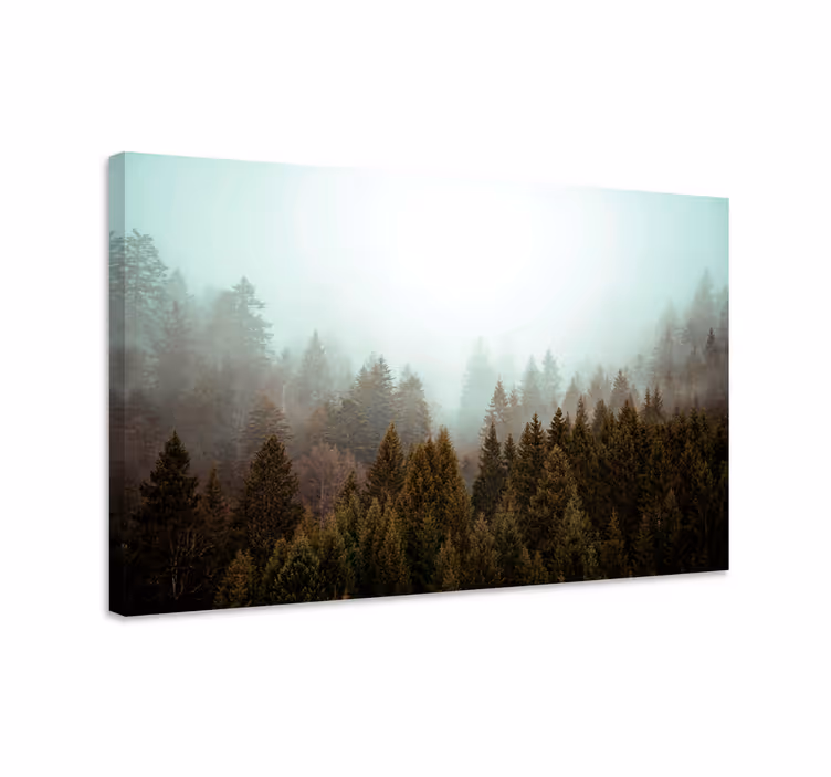 Cuadro paisajes vista de bosque nebuloso - TenVinilo