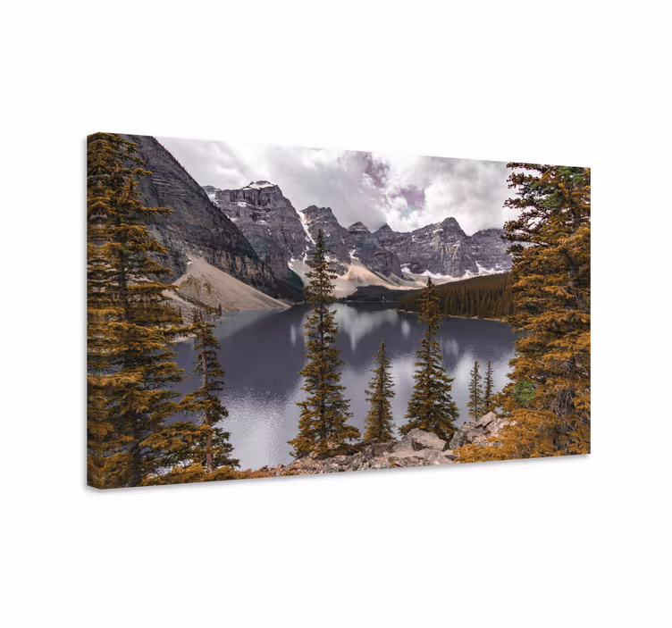 Cuadro paisajes Fotografía estética del bosque canadiense - TenVinilo