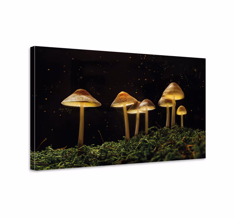 Cuadro de flores escena de hongos brillantes - TenVinilo