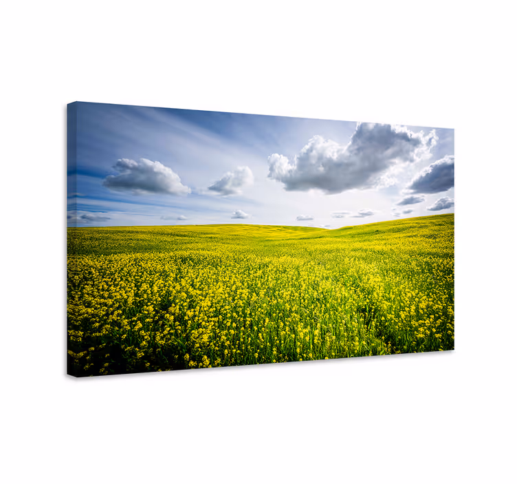 Cuadro paisajes campo amarillo vibrante - TenVinilo