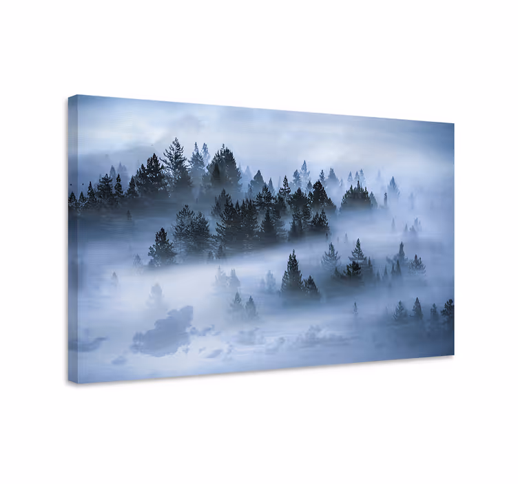 Cuadro paisajes bosque de pinos nebuloso - TenVinilo