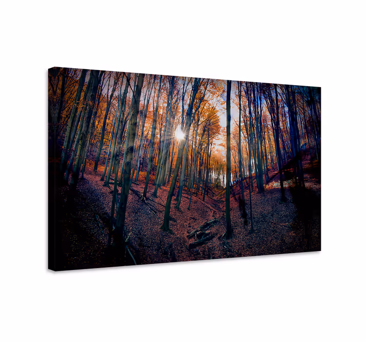 Cuadro paisajes resplandor del bosque otoñal - TenVinilo