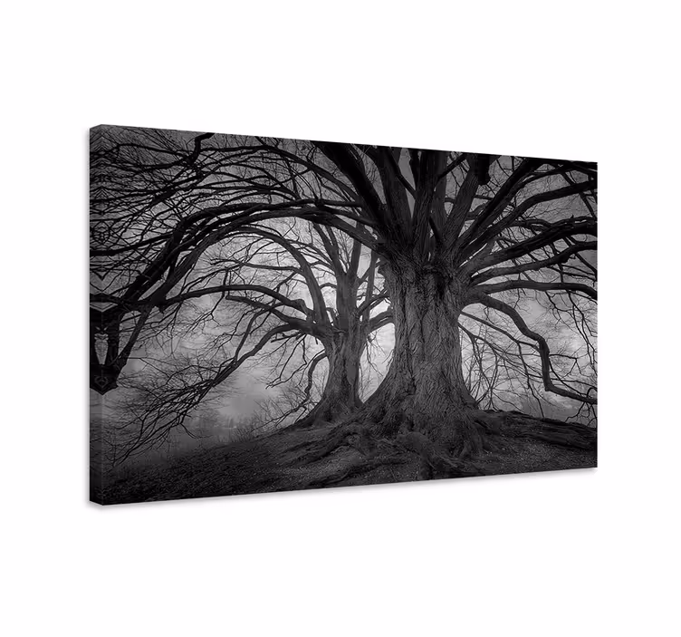 Cuadro de árboles Árboles misteriosos sin hojas - TenVinilo
