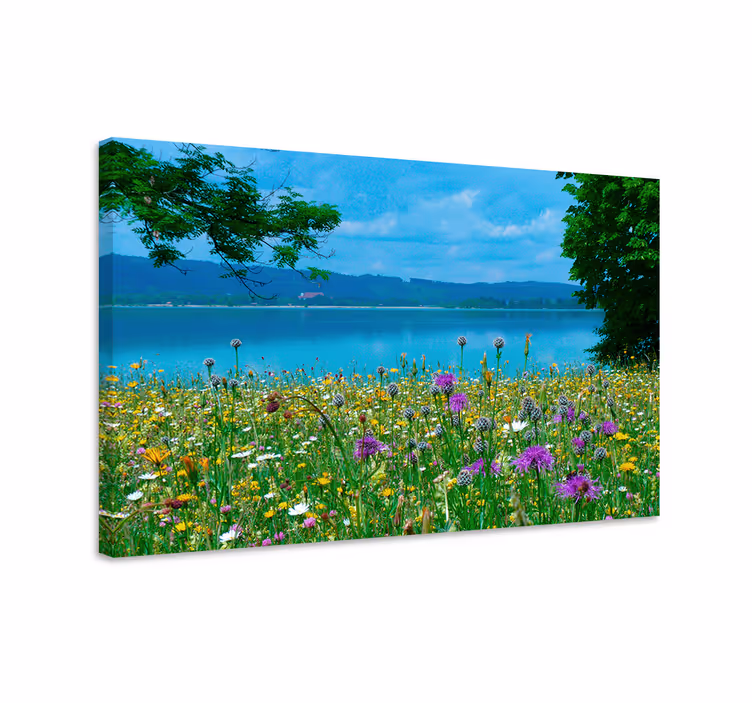 Cuadro paisajes Lago de primavera cottagecore - TenVinilo