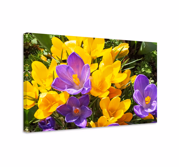 Cuadro de flores flores de primavera coloridas - TenVinilo