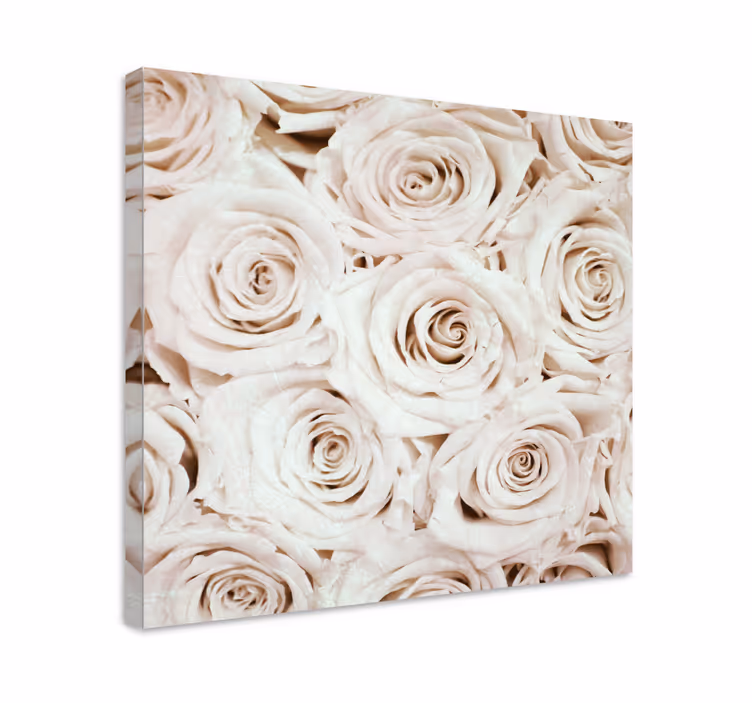 Cuadro de flores flor de rosa suave - TenVinilo