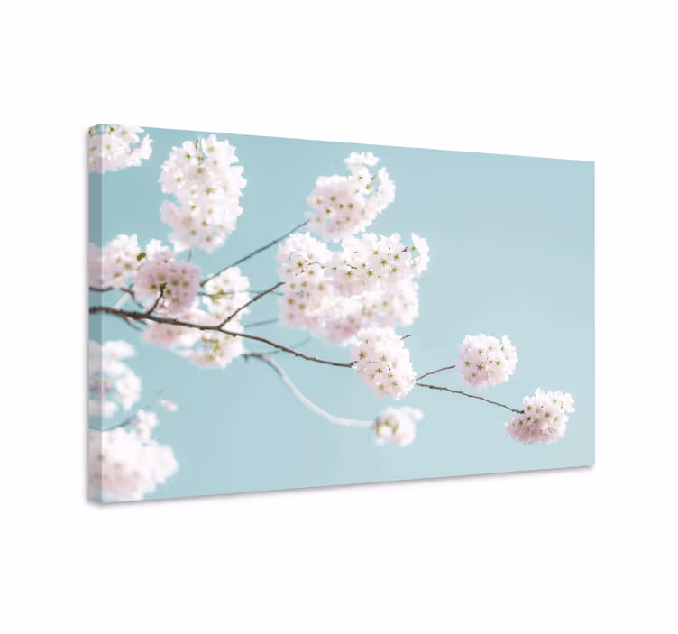 Cuadro de flores rama de flor de cerezo - TenVinilo