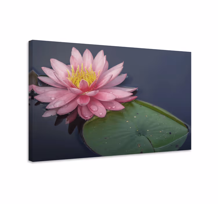 Cuadro de flores flor de lirio de agua - TenVinilo