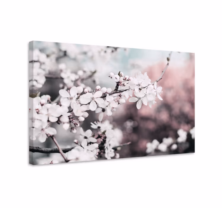 Cuadro de flores Flores de cerezo blancas femeninas - TenVinilo