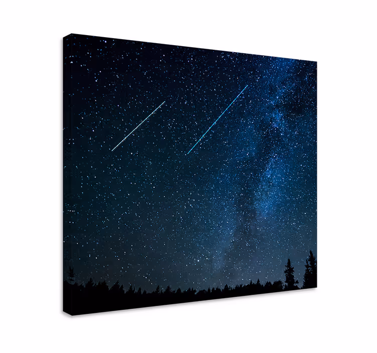 Cuadro paisajes Hermoso paisaje de estrella fugaz - TenVinilo