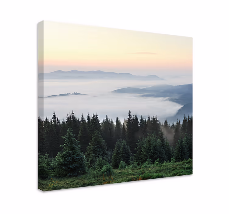 Cuadro paisajes Bosque "naturaleza" con vista al sol - TenVinilo