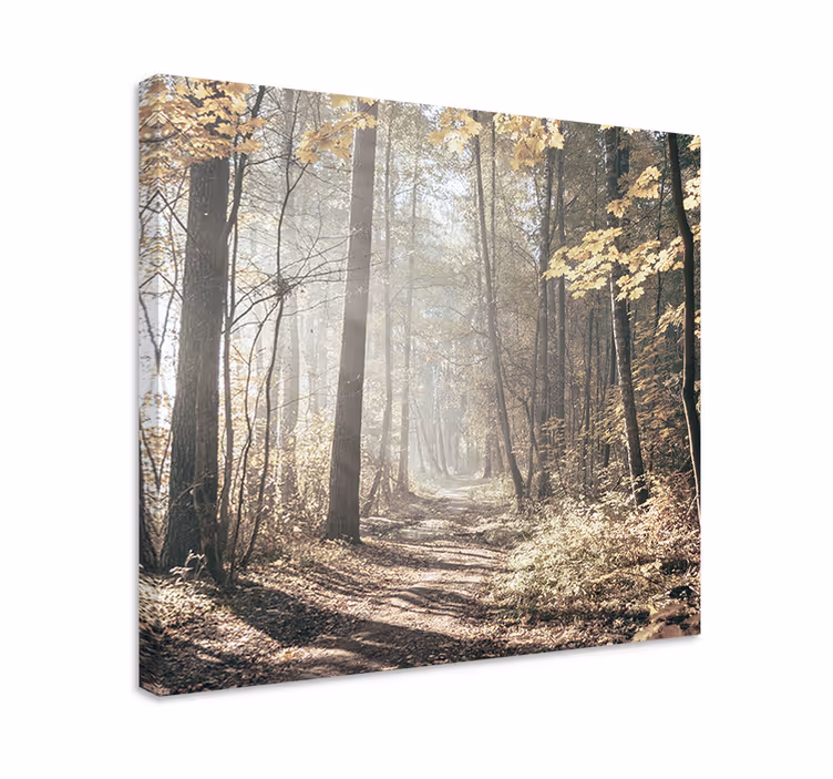 Cuadro árboles "naturaleza" la luz del sol en el bosque - TenVinilo