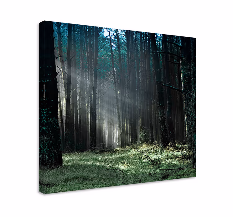 Cuadro árboles "naturaleza" bosque de niebla azul - TenVinilo