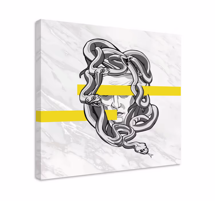 Cuadro ornamental diseño de cabeza de medusa - TenVinilo