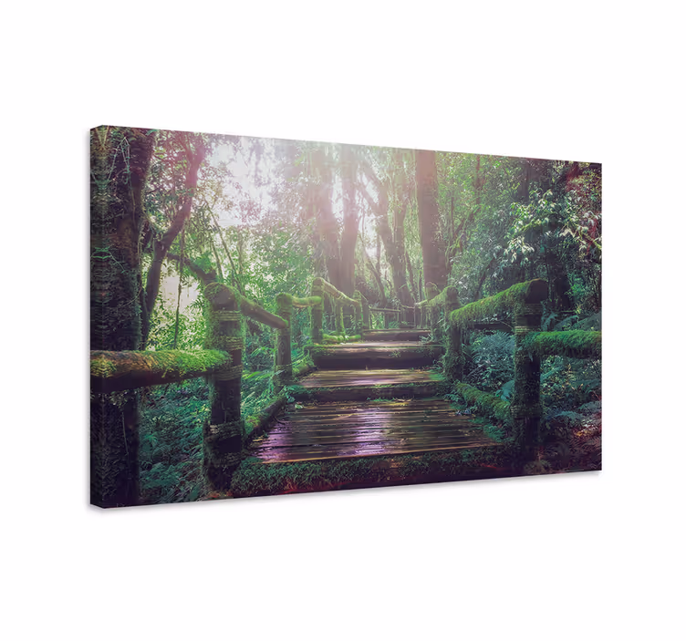 Cuadro paisajes Hermosas escaleras de musgo verde - TenVinilo
