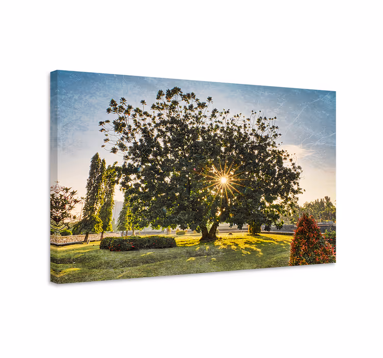 Cuadro paisajes Parque verde soleado de verano - TenVinilo