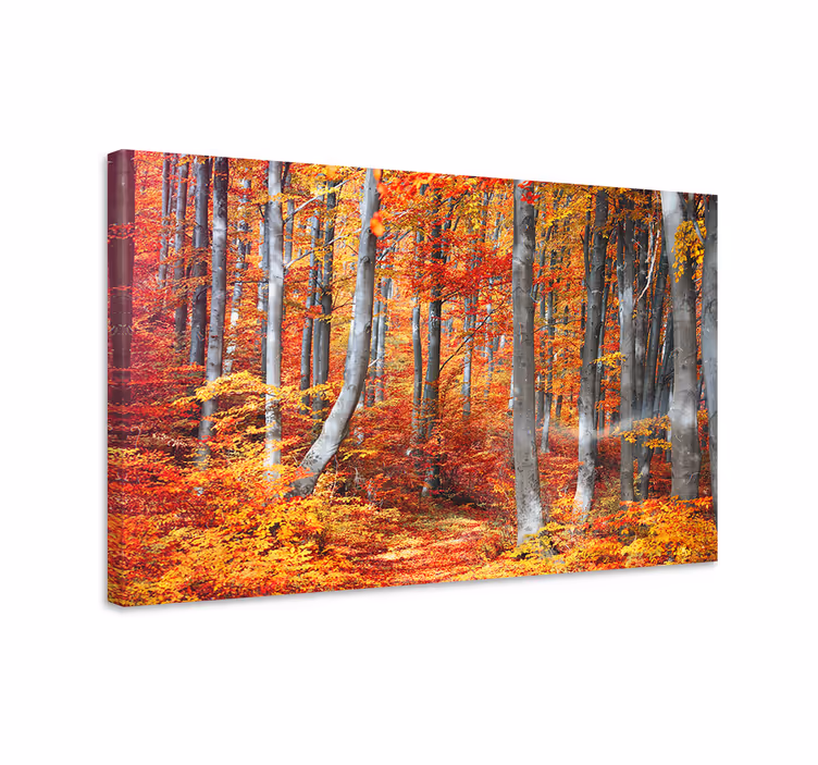 Cuadro paisajes Bosque viejo rojo colorido - TenVinilo