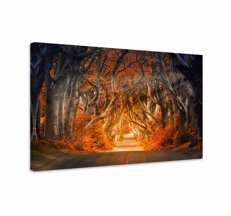 Cuadro paisajes sendero místico de otoño - TenVinilo