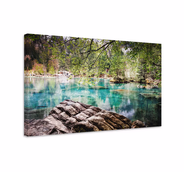Cuadro paisajes Lago y árboles durante el día - TenVinilo