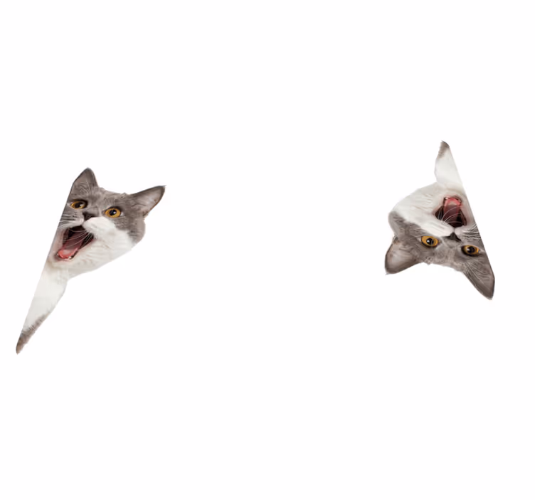 Alfombra vinílica animales gato espiando fondo blanco - TenVinilo