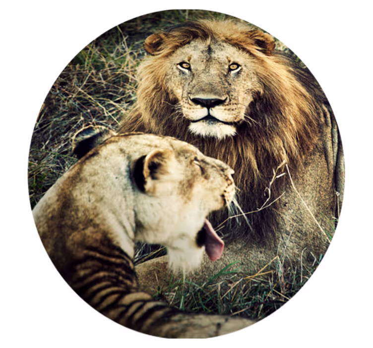 Alfombra vinílica animales majestuosa pareja de leones - TenVinilo