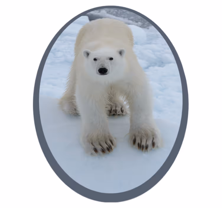 Aflombra vinílica animales Oso polar en la nieve - TenVinilo