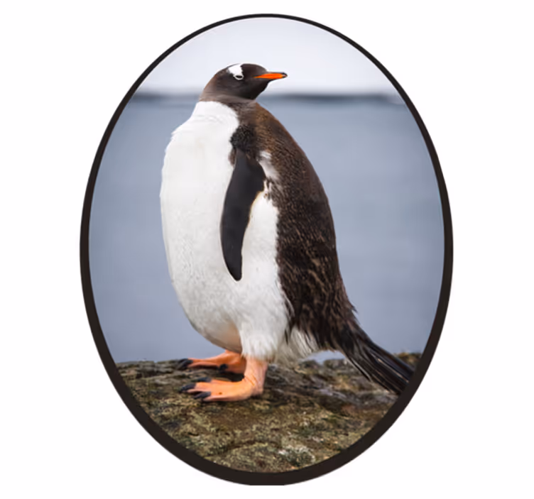 Aflombra vinílica animales Pingüino majestuoso - TenVinilo