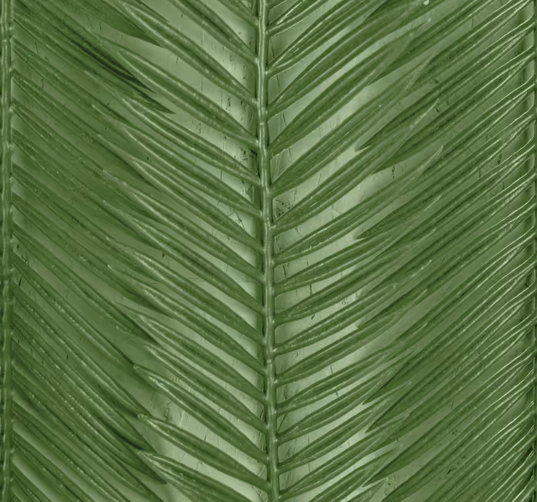 Papel pintado moderno Rayas tropicales modernas - TenVinilo