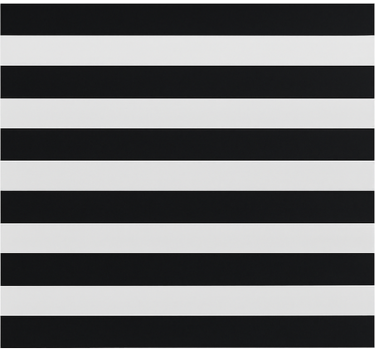 Cortina roller comedor negro y transparente despojado - TenVinilo