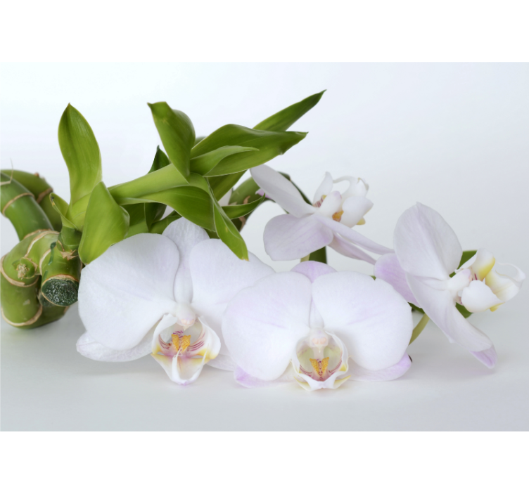 Cortina roller blanca orquídea verde blanca - TenVinilo