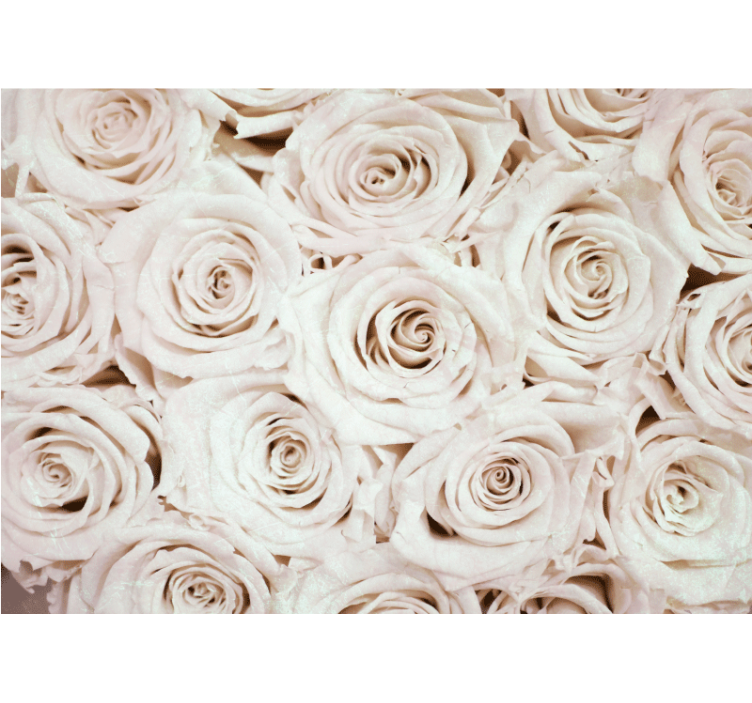 Cortina roller blanca diseño de flores rosas elegante - TenVinilo