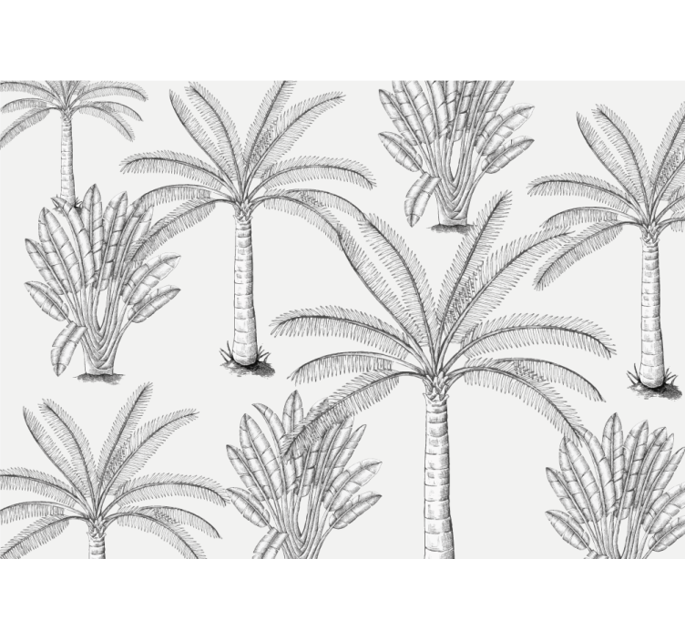 Cortina roller blanca diseño palmeras en blanco y negro - TenVinilo