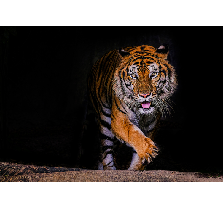 Cortina roller negra tigre - TenVinilo