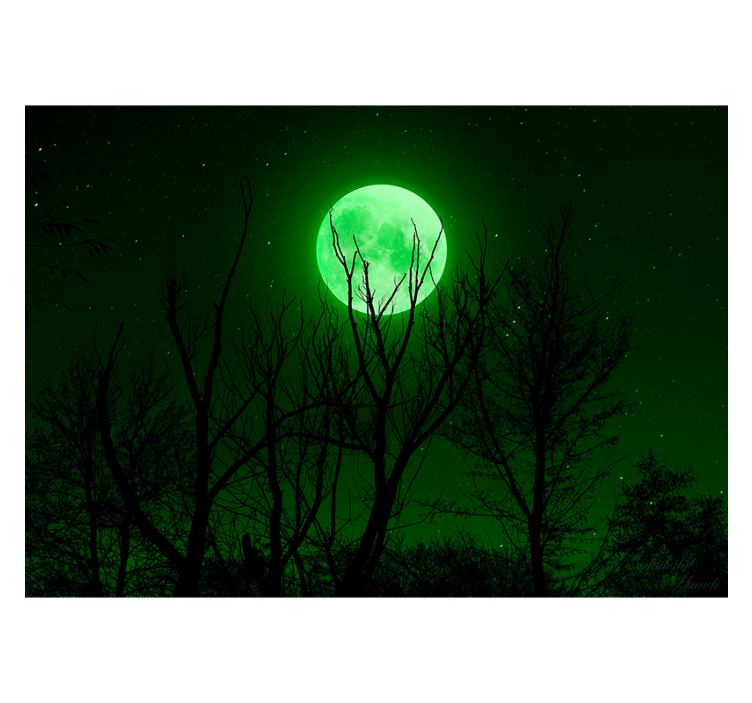 Cortina roller negra luna verde - TenVinilo