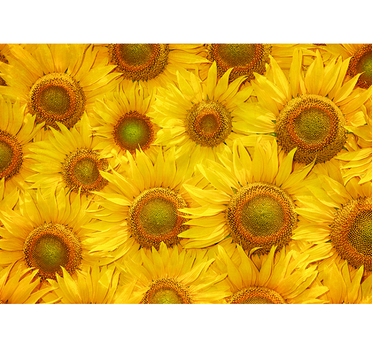 Cortina roller amarilla girasoles - TenVinilo