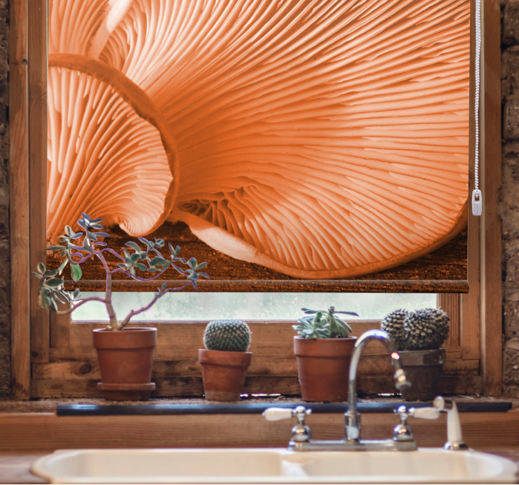 Cortina roller frutas branquias de champiñón - TenVinilo