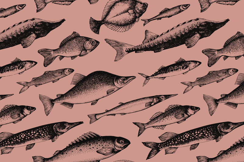 Individual mesa original arte de patrón de peces - TenVinilo