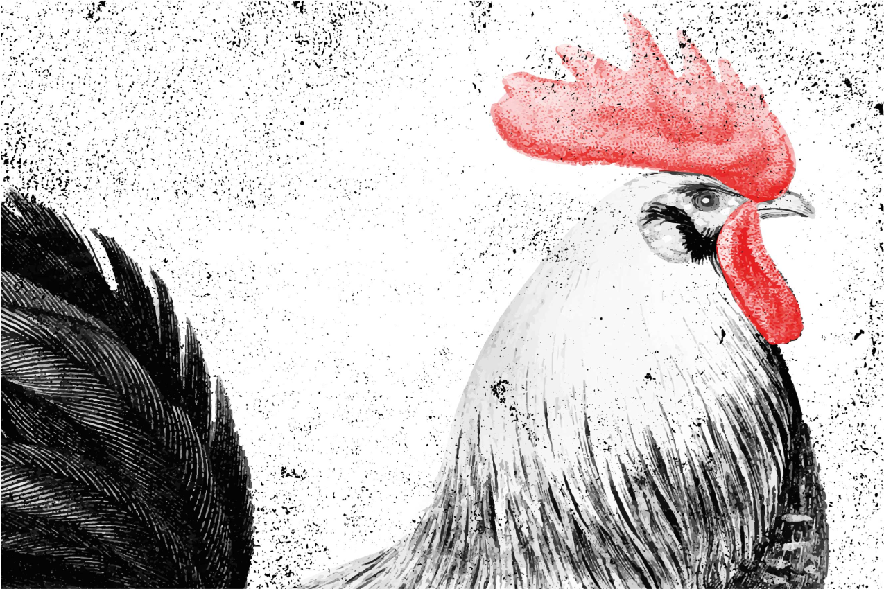 Individual mesa original ilustración de gallo - TenVinilo