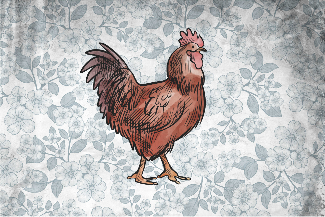 Individual mesa original ilustración de pollo rústico - TenVinilo