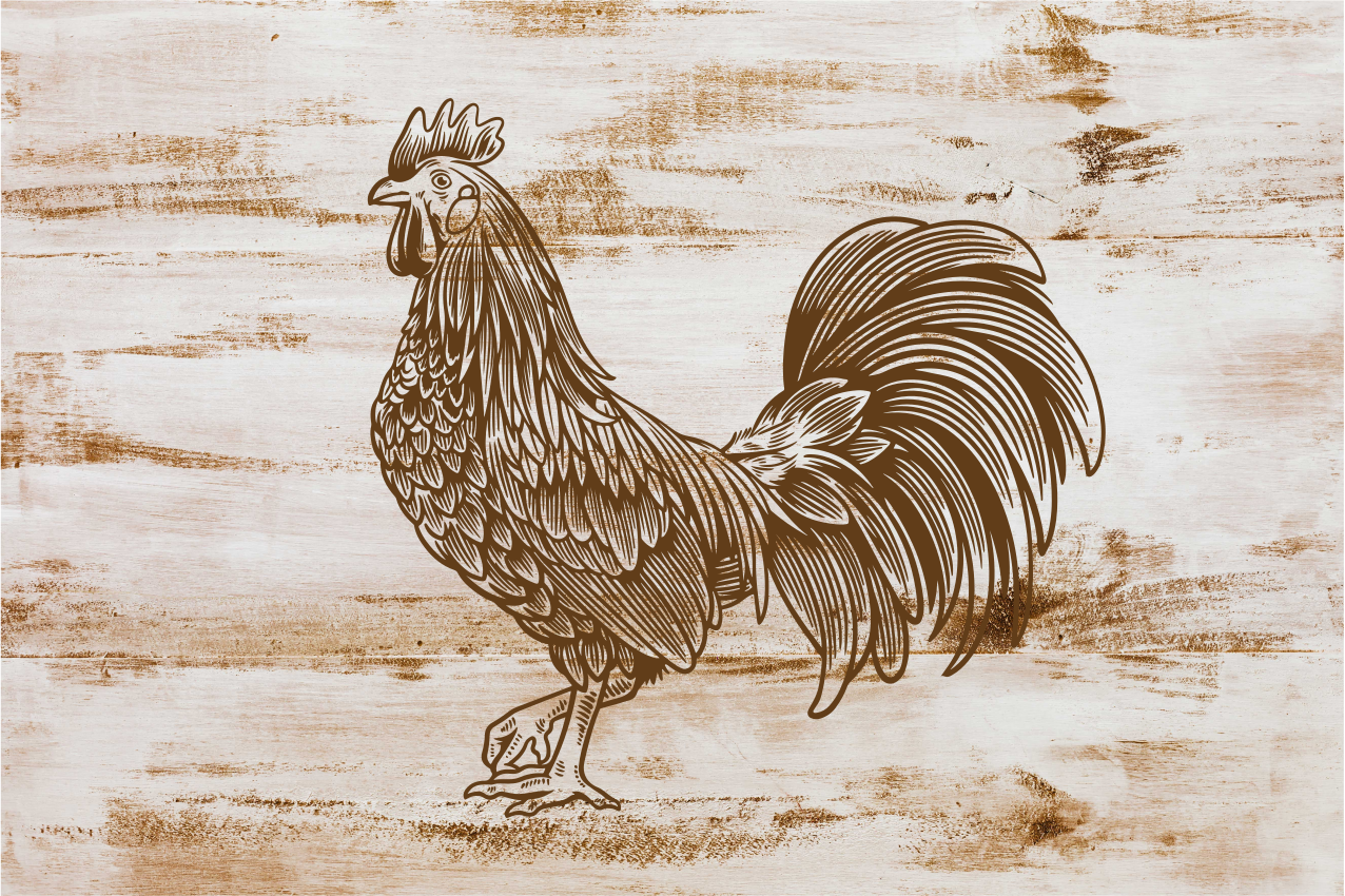 Individual mesa moderno ilustración gallo estiloso - TenVinilo