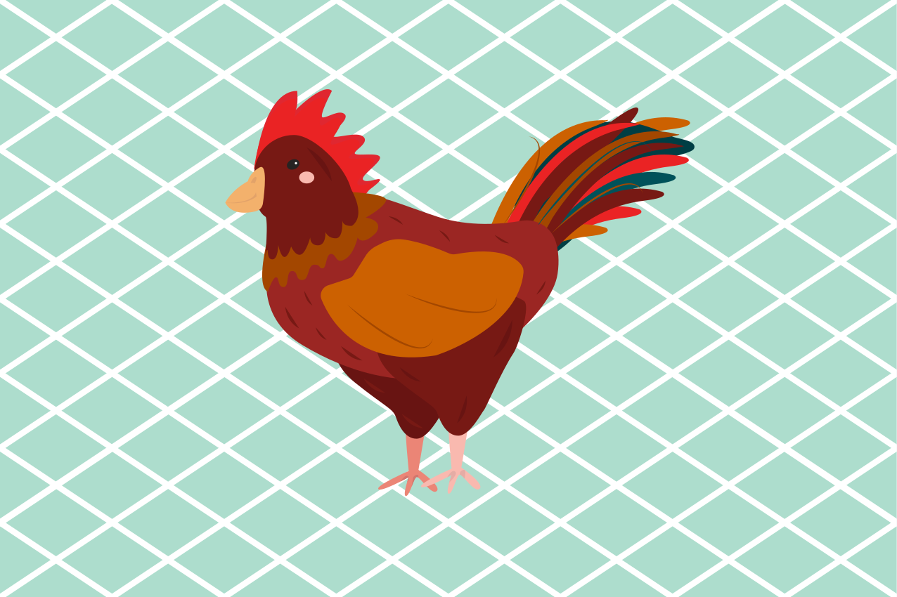 Individual mesa original ilustración de gallo encantador - TenVinilo